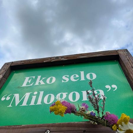 Etno Selo - Guest House Etno Village - Trsa Plužine Zewnętrze zdjęcie